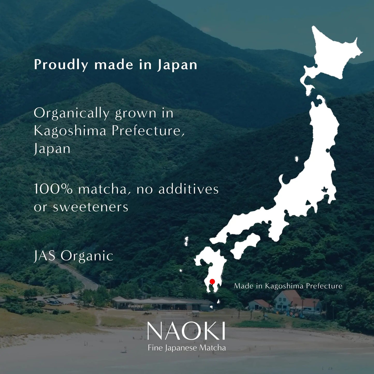 Organic Japanese Matcha – Culinary Grade Green Tea Powder | Smooth & Umami-Rich | 100g (3.5oz) for Lattes & Baking