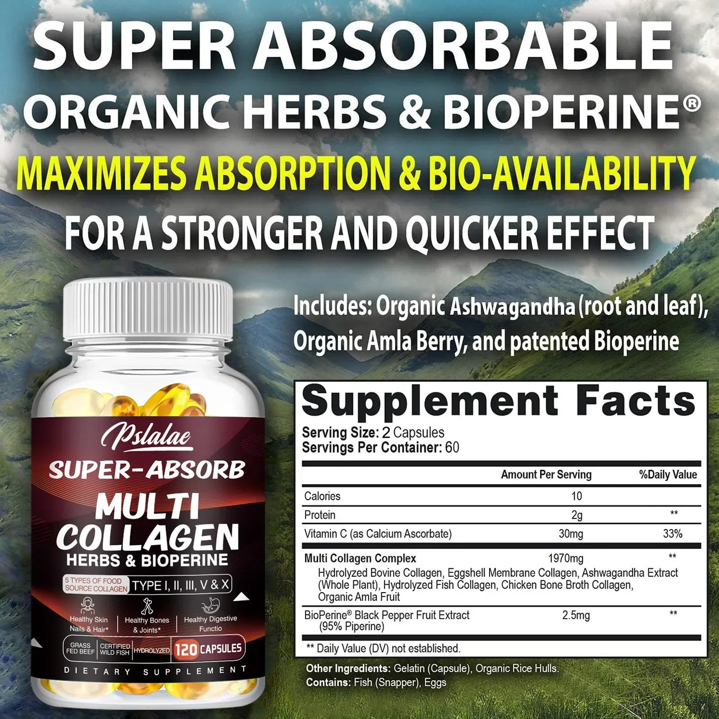 Multi Collagen Capsules (Types I, II, III, V &amp; X) – Organic Herbs + Piperine | High Absorption Collagen Supplement for Hair, Skin, Joints &amp; Bones